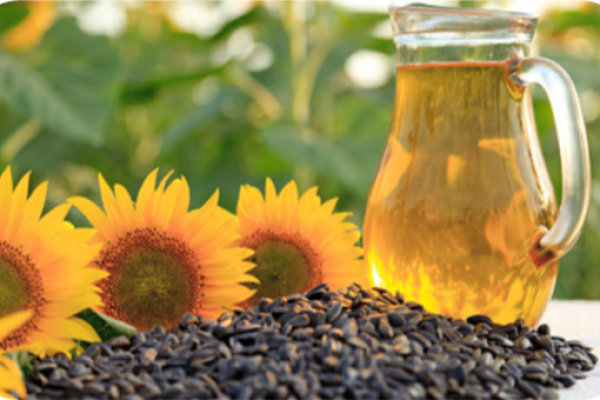 Oil Seed